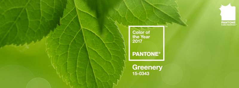 kolor roku 2017 pantone modne kolory 