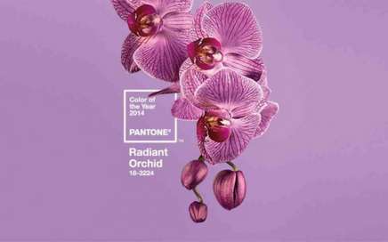 Znamy najmodniejszy kolor  ślubny na 2014 ! Radiant Orchid wg Pantone (PCI)