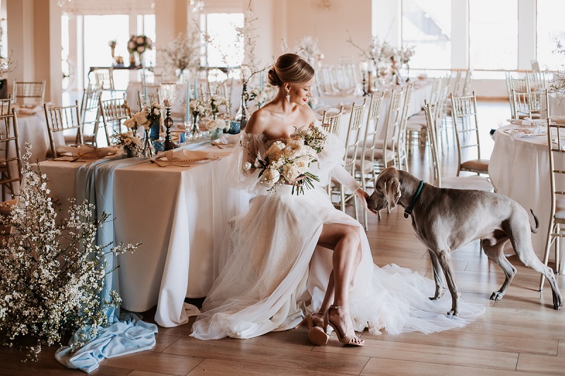 dusty blue, skansen bicz,  eleganckie, romantyczne przyjęcie weselne z motywem bieli i niebieskiego