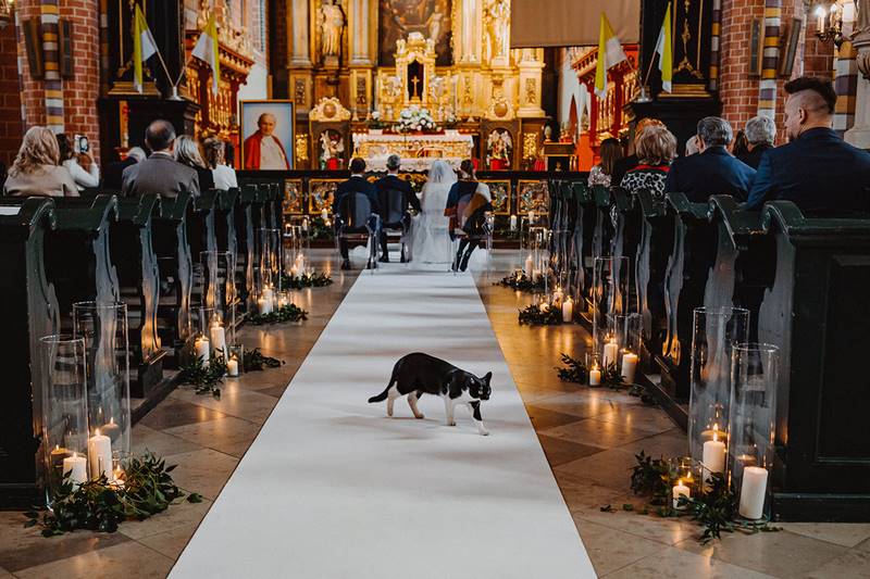 Ajem stories zdjęcia które zachwycają 2020 ślub wesele fotografia ślubna fotograf ślubny fotograf weselny reportaż ślubny reportaż weselny sesja ślubna inspiracje 2021 trendy ślubne 2021 www.abcslubu.pl 