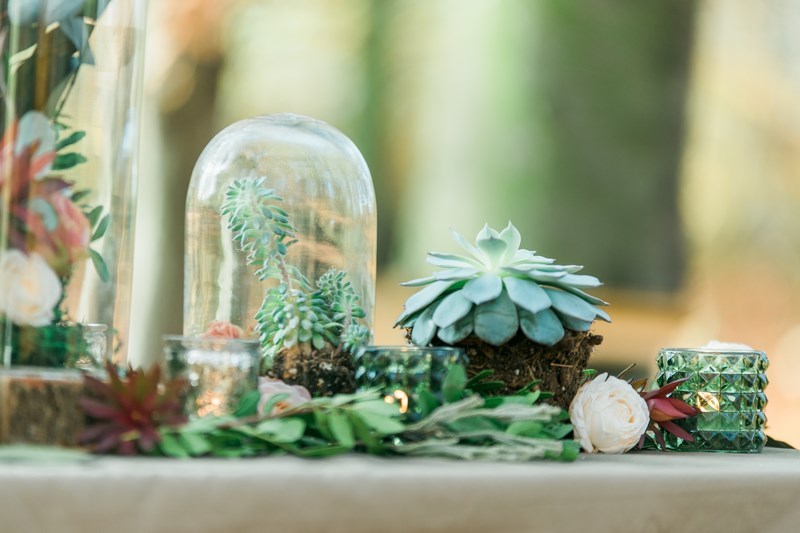 bukiet butonierka dekoracje ślubne aranżacje ślubne młoda para leśny ślub leśne wesele ślub w lesie jesienny las ślub sesja ślubna zdjęcia ślubne weselne inspiracje ślubne pomysły DIY sesja zdjęciowa w jesiennym lesie jesienna sesja zdjęciowa ślubna ślub i wesele jesienią porady inspiracje trendy