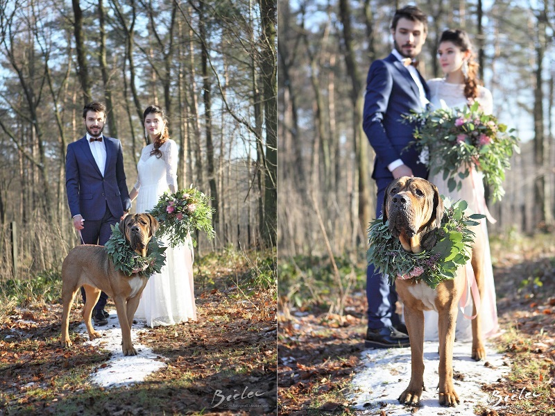 ślubna sesja z psem, zimowa sesja zdjęciowa
