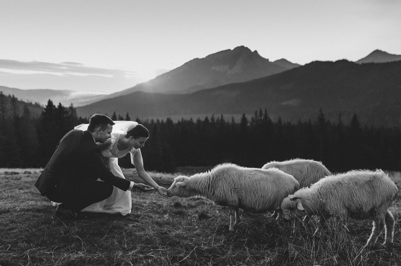 ślub wesele plener ślubny Tatry Rusinowa Polana kasprowy Wierch suknia ślubna garnitur ślubny plener ślubny sesja ślubna sesja plenerowa małżeńska Anna Krupka Wedding Photography inspiracje 