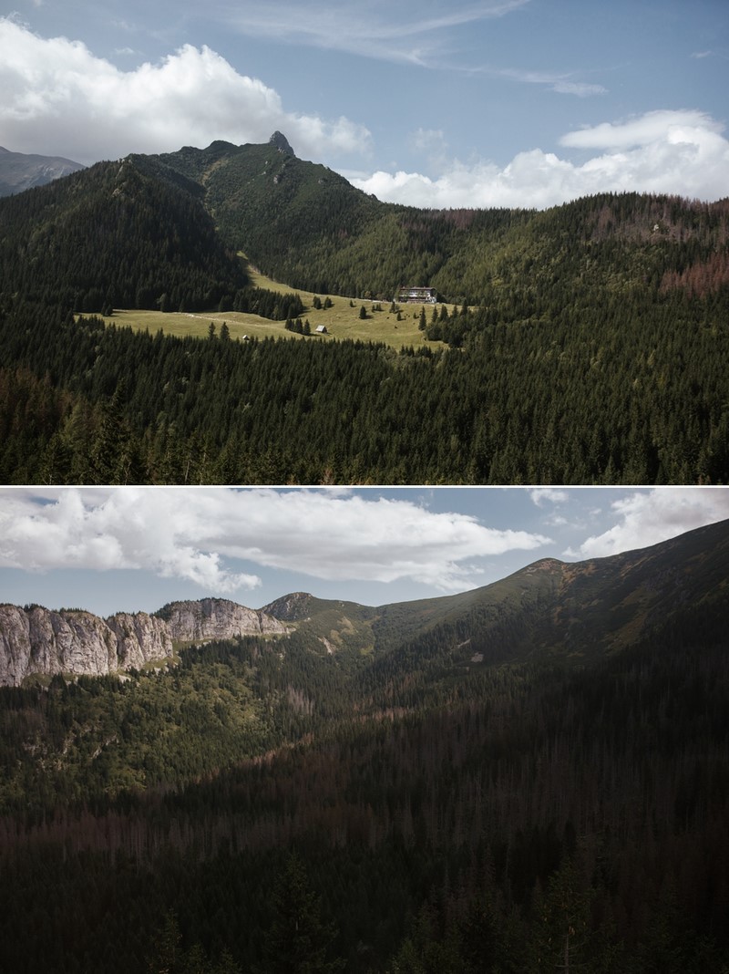 ślub wesele plener ślubny Tatry Rusinowa Polana kasprowy Wierch suknia ślubna garnitur ślubny plener ślubny sesja ślubna sesja plenerowa małżeńska Anna Krupka Wedding Photography inspiracje 