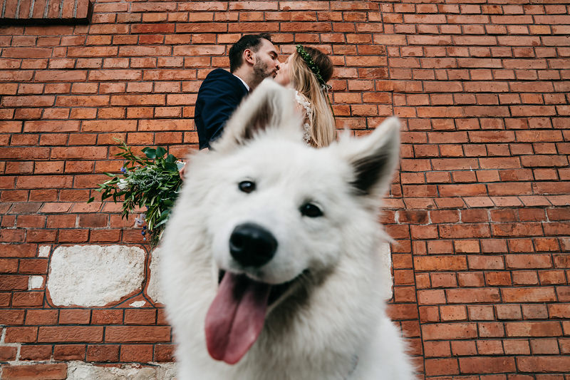 LMFOTO ślub wesele zdjęcia ślubne zdjęcia weselne plener ślubny Zdjęcia które Zachwycają fotograf ślubny inspiracje trendy ślubne 2020 ZKZ2019