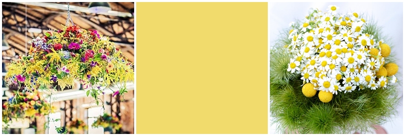 Pantone Primrose Yellow, kolor na ślub, kolor 2017