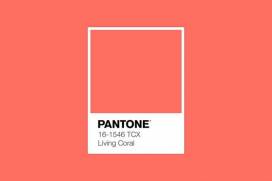 Kolor roku 2019 - Living Coral czyli Instytut Pantone zdecydował